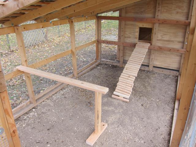 54436_256.jpg