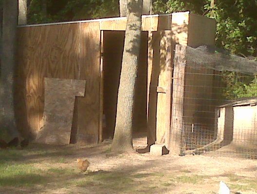 54457_img00300.jpg
