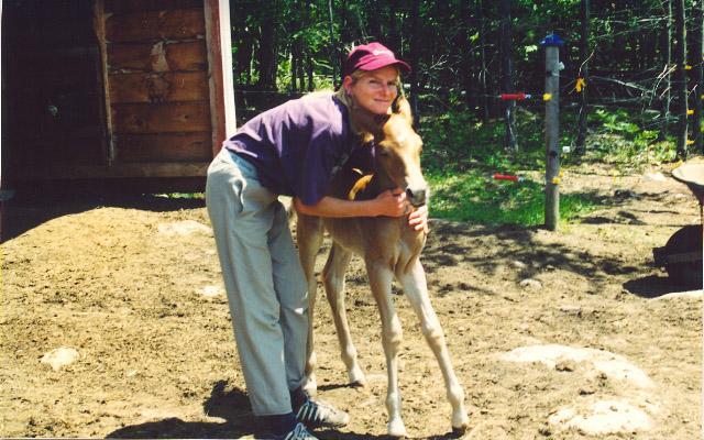 54480_donna_with_foal.jpg