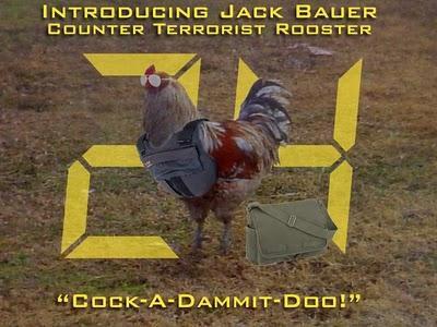 54528_ct_rooster_jack_baue.jpg