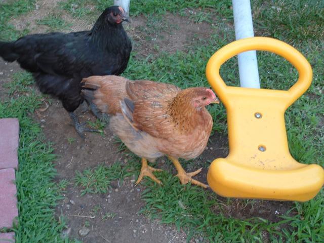 54538_dscf0067.jpg