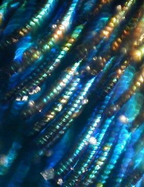 54629_peacockblue.jpg