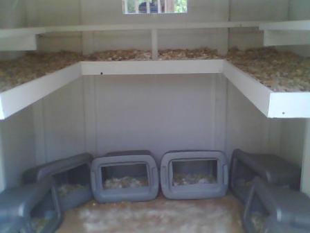 54700_inside.jpg