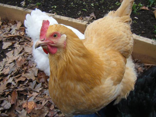 54722_036.jpg