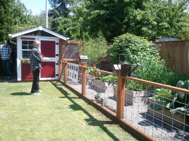 54793_tacoma_chicken_coop_tour_12.jpg