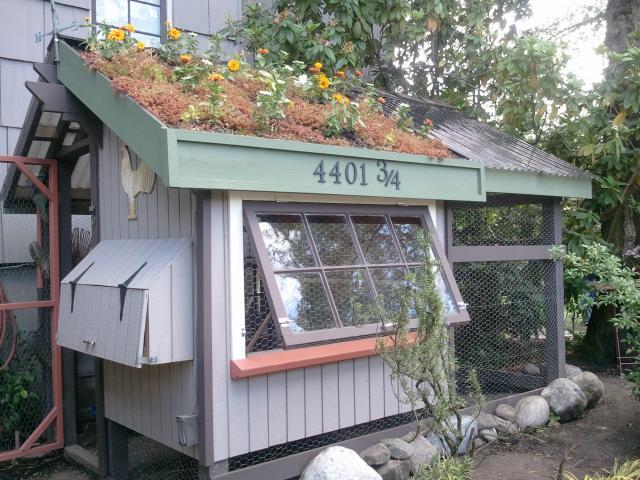 54793_tacoma_chicken_coop_tour_14.jpg