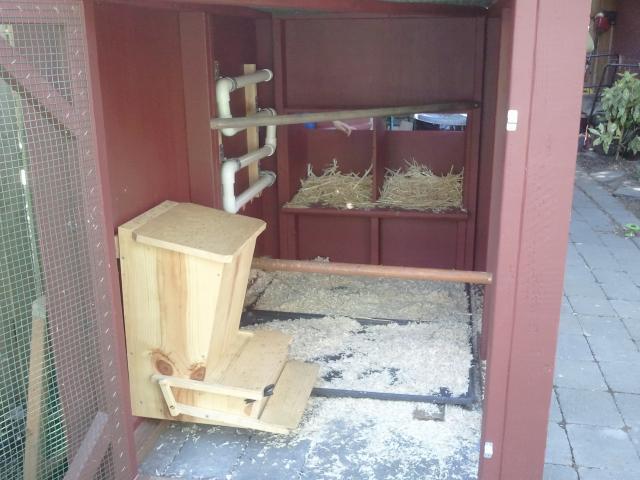 54793_tacoma_chicken_coop_tour_3.jpg