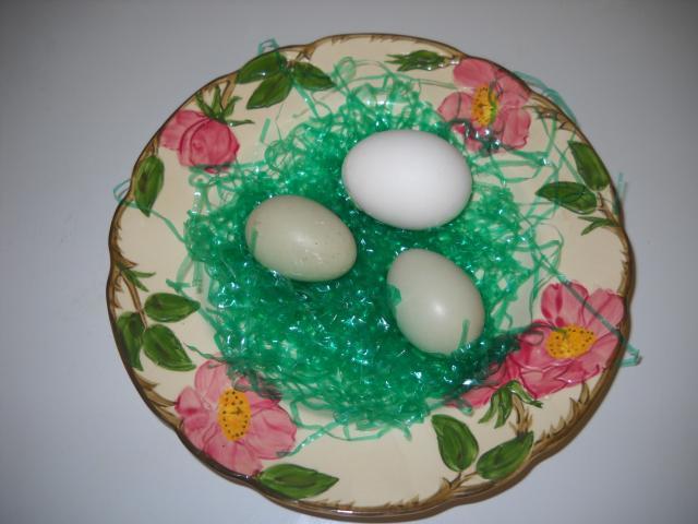 54813_alices_first_eggs.jpg