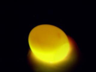 54853_101_6099.jpg