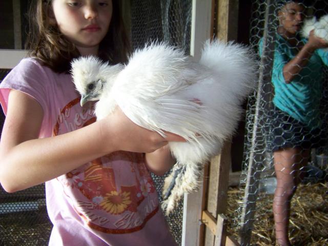 54853_101_7068.jpg