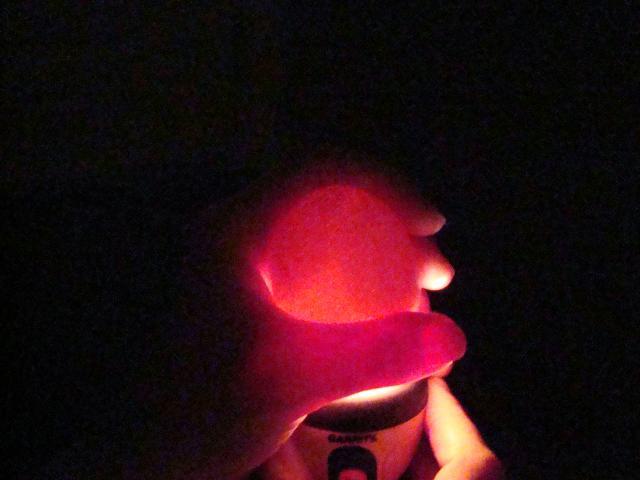 54911_dsc04275.jpg