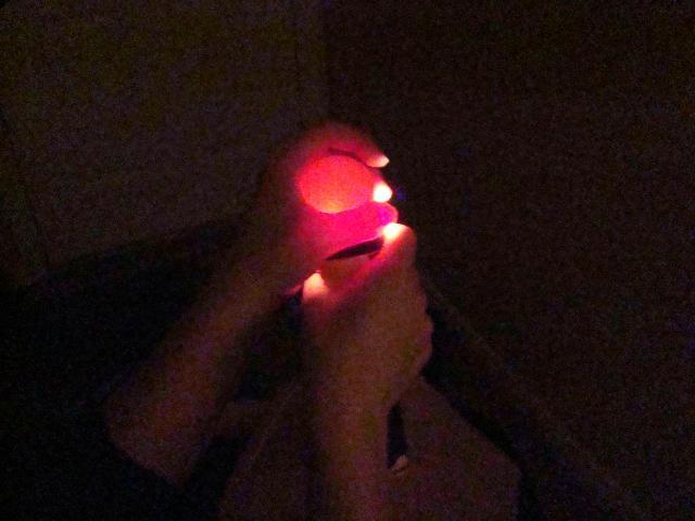 54911_dsc04277.jpg
