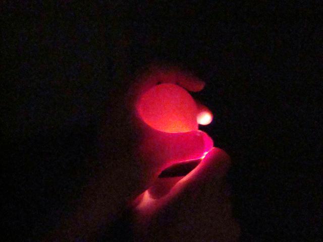 54911_dsc04278.jpg