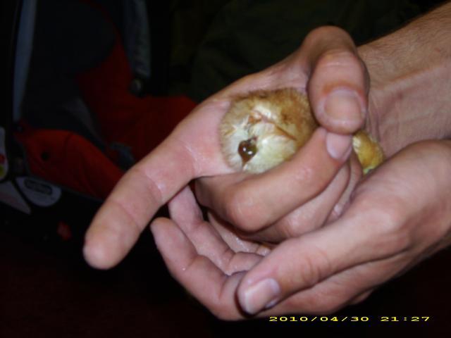 55121_dsci1838.jpg
