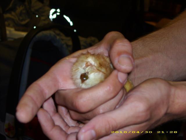 55121_dsci1839.jpg