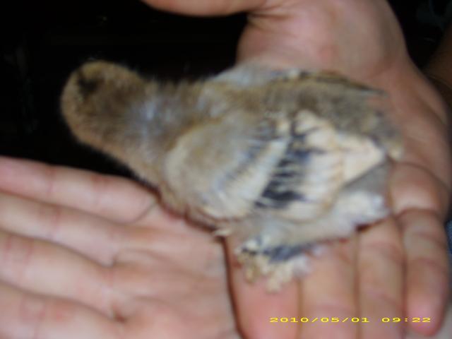 55121_dsci1854.jpg