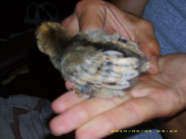 55121_dsci1855.jpg