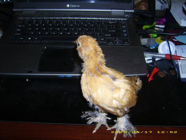55121_dsci2090.jpg