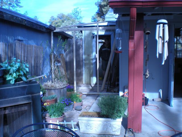55126_004.jpg
