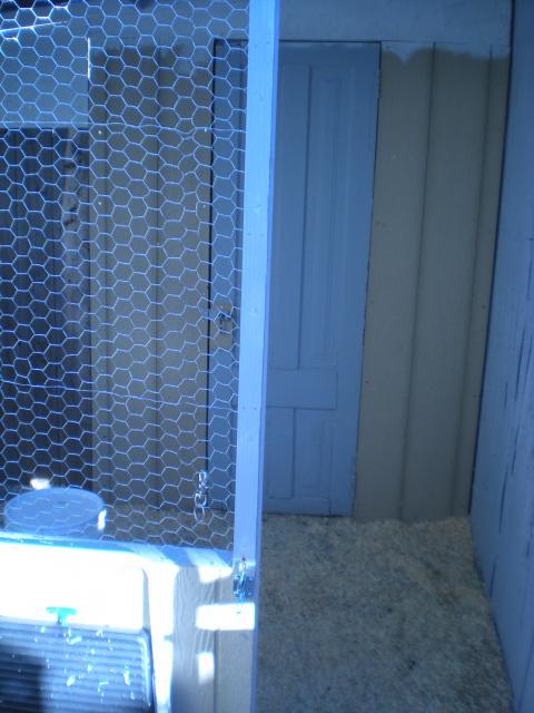 55126_coop_building_and_chicks_002.jpg