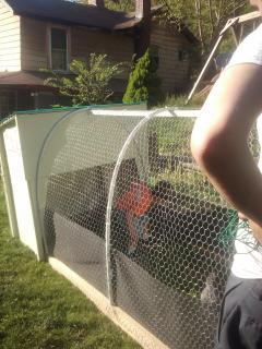 55143_2010-04-30_180930.jpg