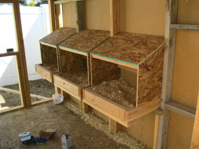 55194_coop_nest_boxes.jpg