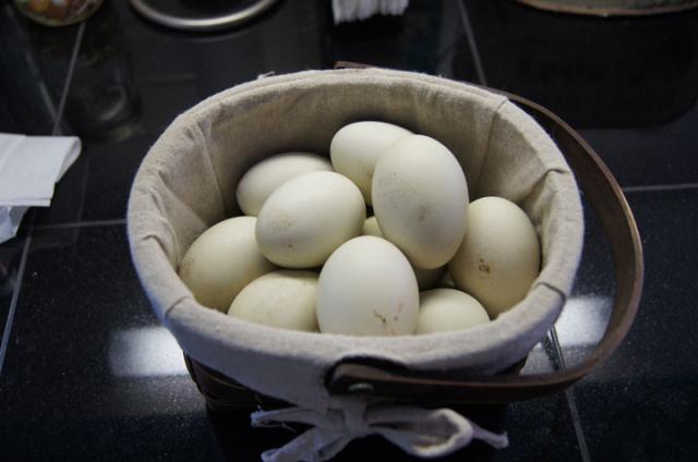55194_egg_basket.jpg