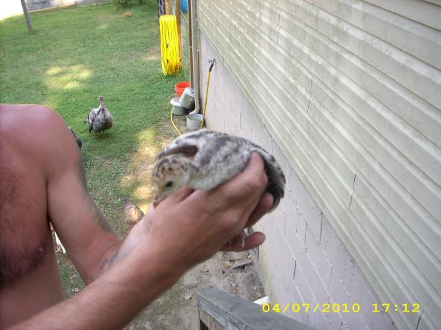 55225_pics_005.jpg