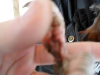 55293_sam_0044.jpg