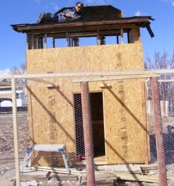 55307_chicken_house_2.jpg