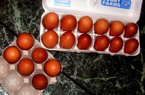 55327_maranseggs.jpg