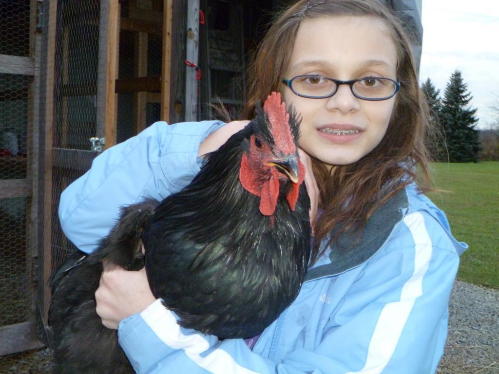55349_0the_chooks_nov_2011_007.jpg
