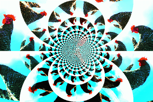 55349_103583_the_chickens_2011_021.png