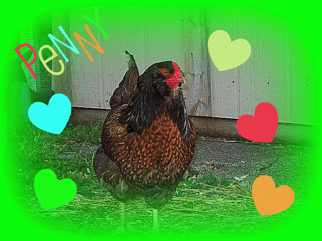 55349_13456_penny4.png