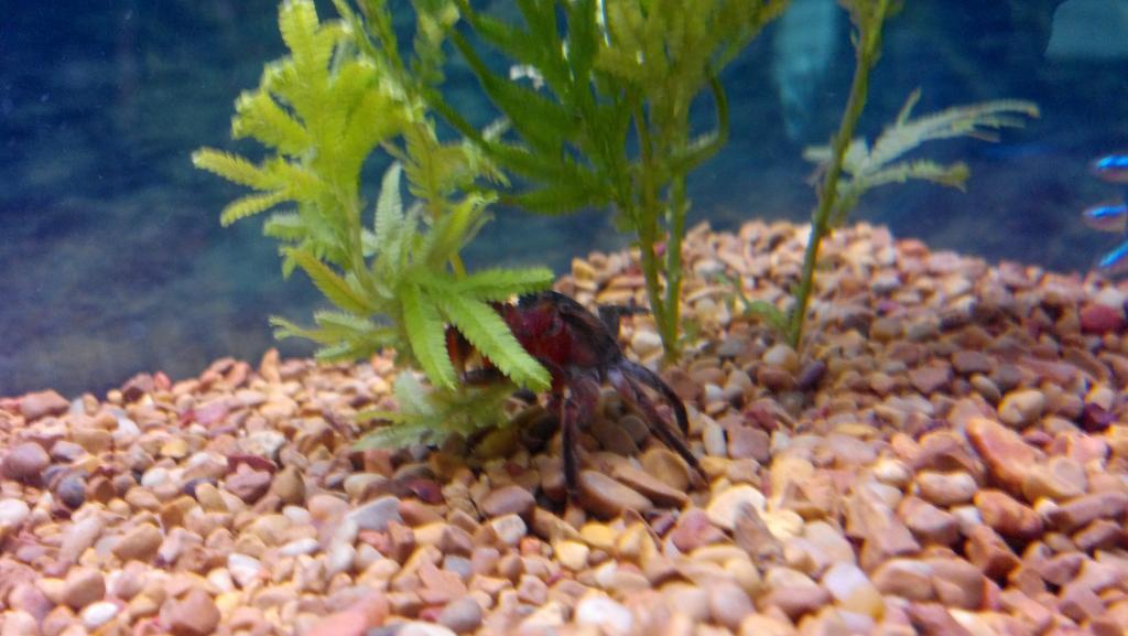 55349_2012-01-03_15-36-00_365.jpg