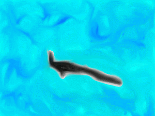 55349_22254_peacock_246.png
