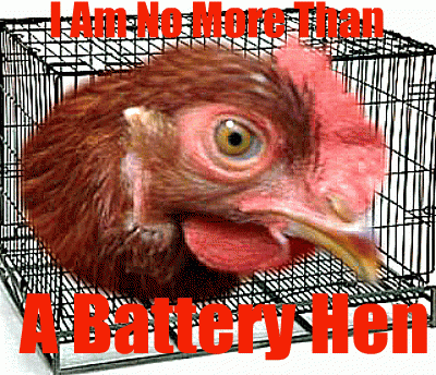 55349_battery_hen.png