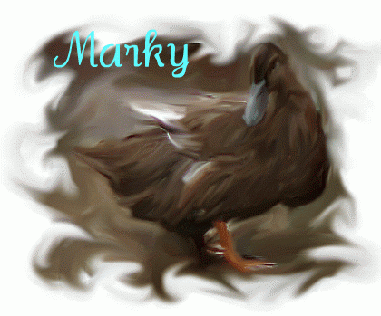 55349_marky.png