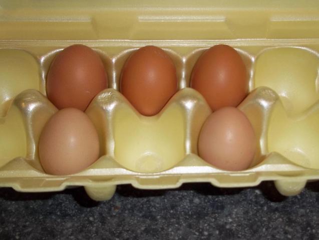 55385_5_eggs.jpg