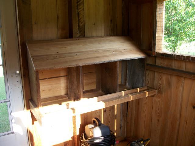 55385_sany0113.jpg