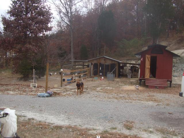 55442_austincampout_041.jpg