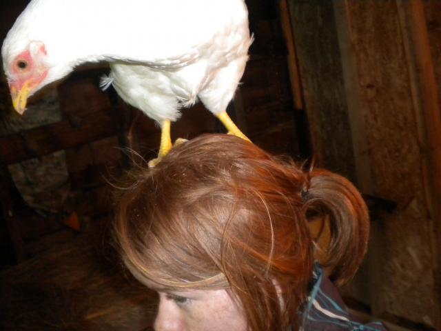 55446_fuuny_chick_contest_030.jpg