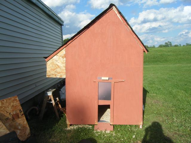 55466_chickens3half_036.jpg