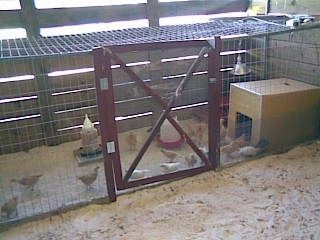 55471_218.jpg