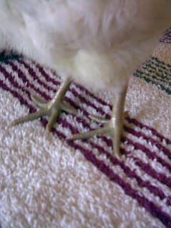 55471_image208.jpg