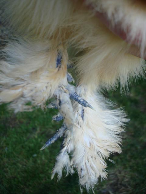 55593_dsc07586.jpg