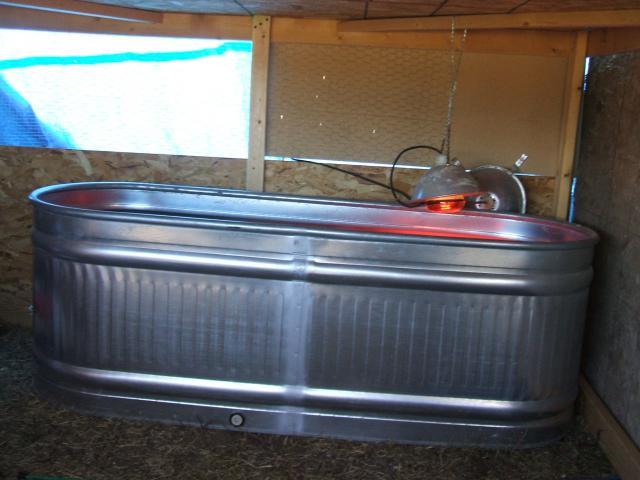 55676_brooder_in_coop.jpg