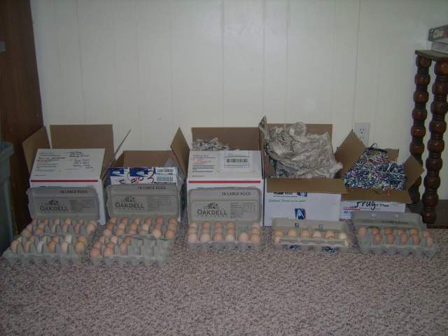 5570_dsci0719.jpg