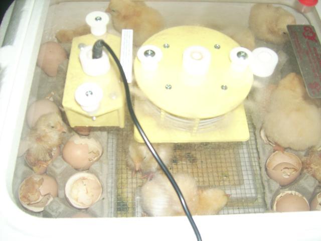 5570_dsci0767.jpg