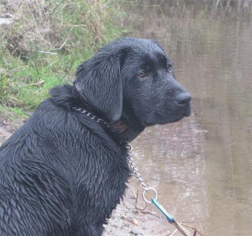 55743_img_0311.jpg